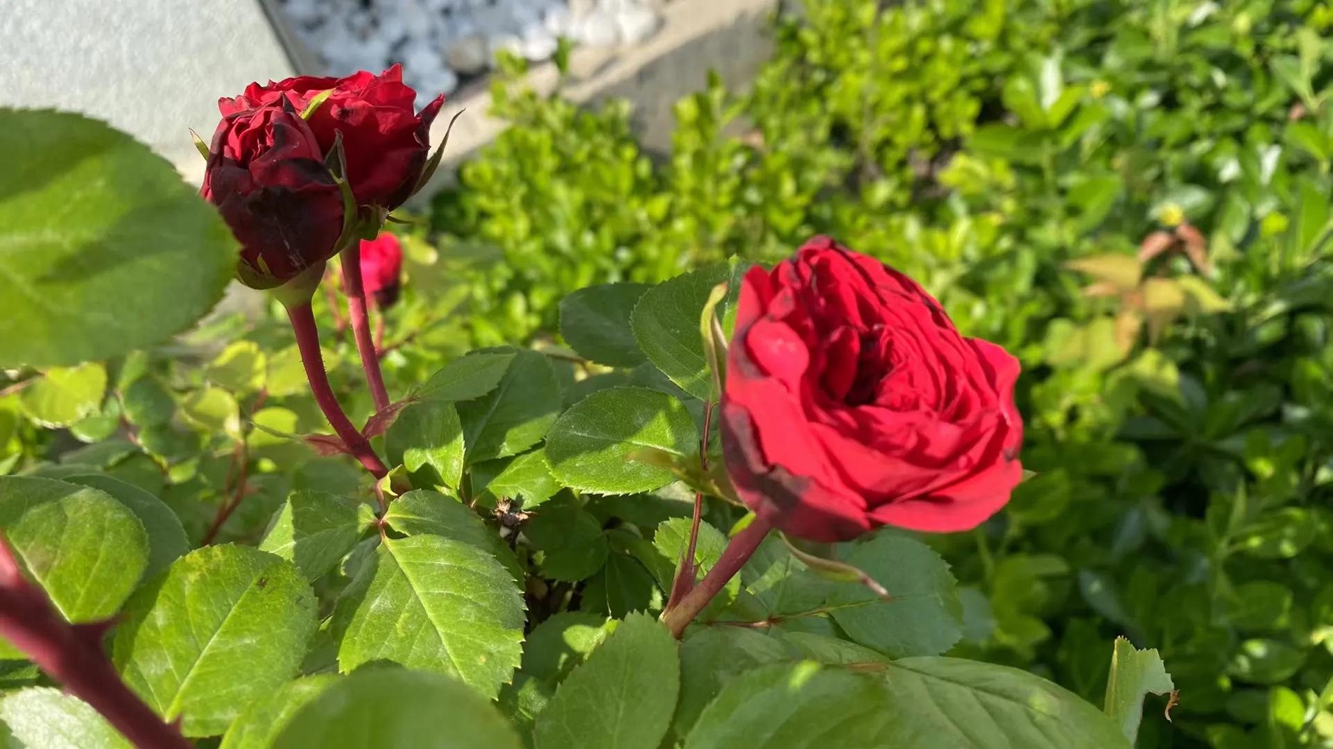 小学培优新方法适合什么人做,小学生培优新方法难度如何