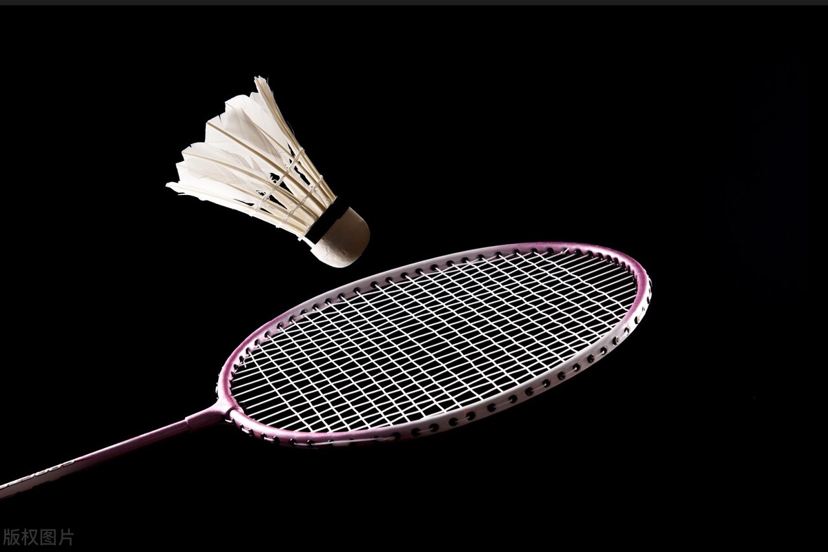 羽毛球拍销量排行榜,羽毛球拍品牌排行榜
