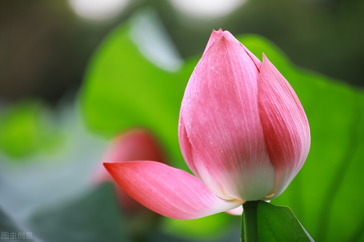 墨海扬波的诗词,墨海扬波