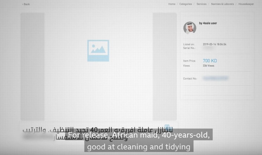 我在网上买了个*奴女**…