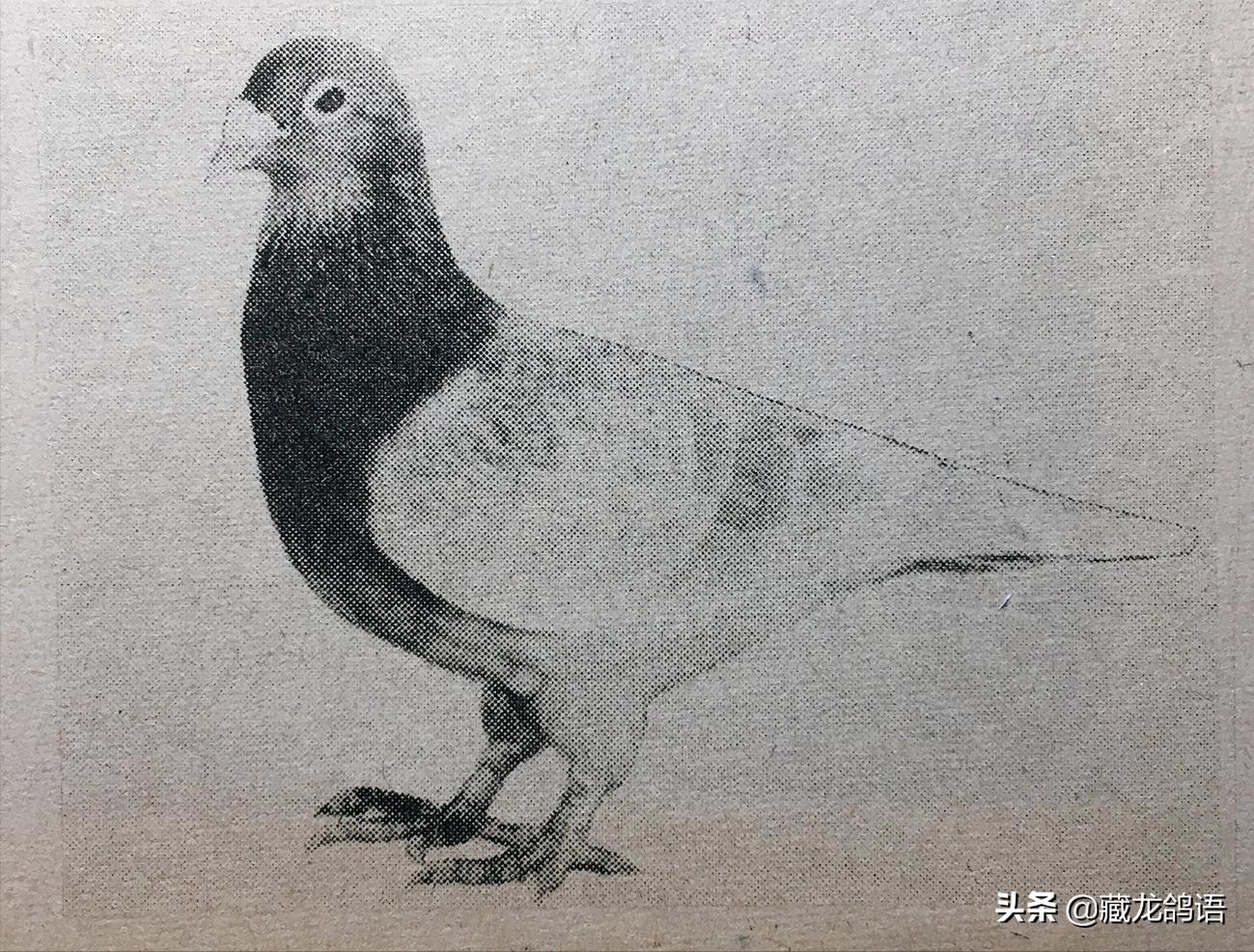 累积航段和里程有什么用,累计跑步多少公里可以跑完马拉松