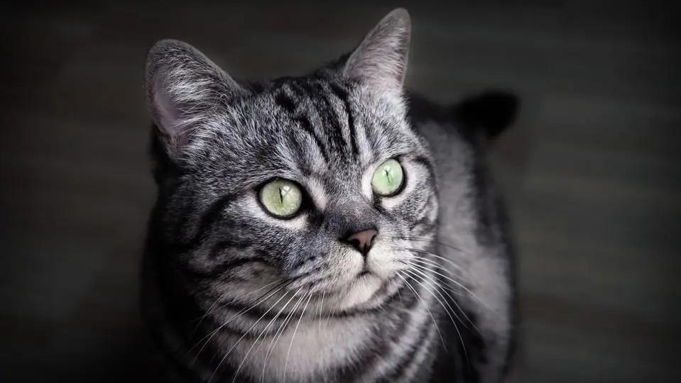 必看的十本书经典,几本让你看几遍都不腻的经典佳作