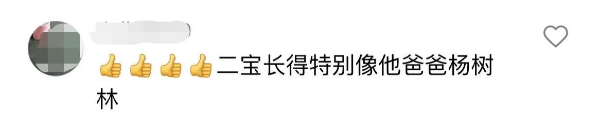 胖丫与杨树林现状,胖丫出狱后现状曝光