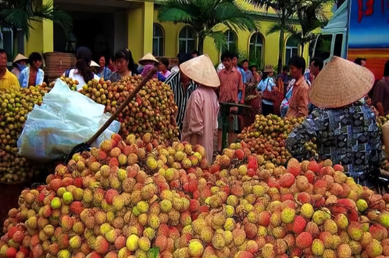 越南烂大街的食物,越南水果烂街视频