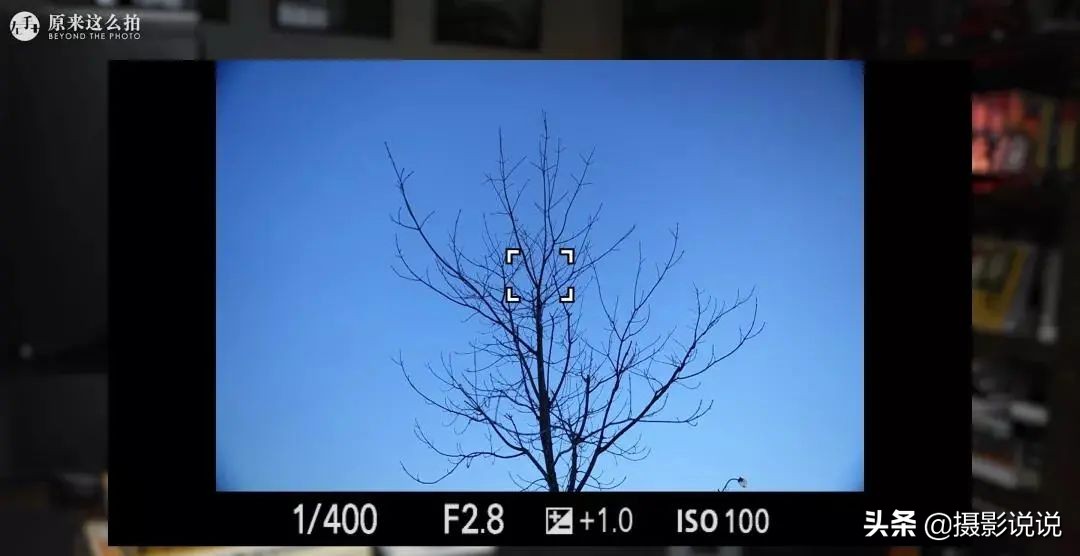 张千里推荐镜头,张千里视频直播