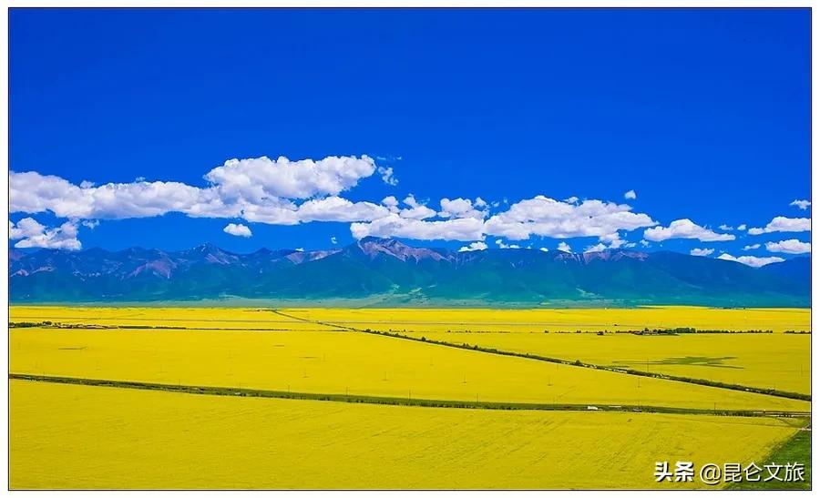 大美青海生态旅游推荐,大美青海美景短视频