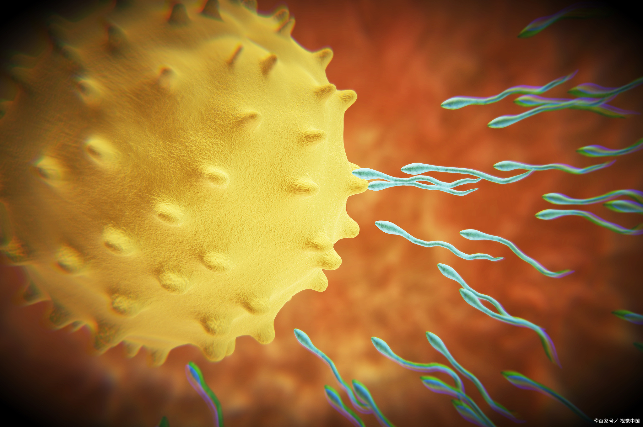 卵巢早衰病因复杂,女性患有卵巢早衰主要表现是什么