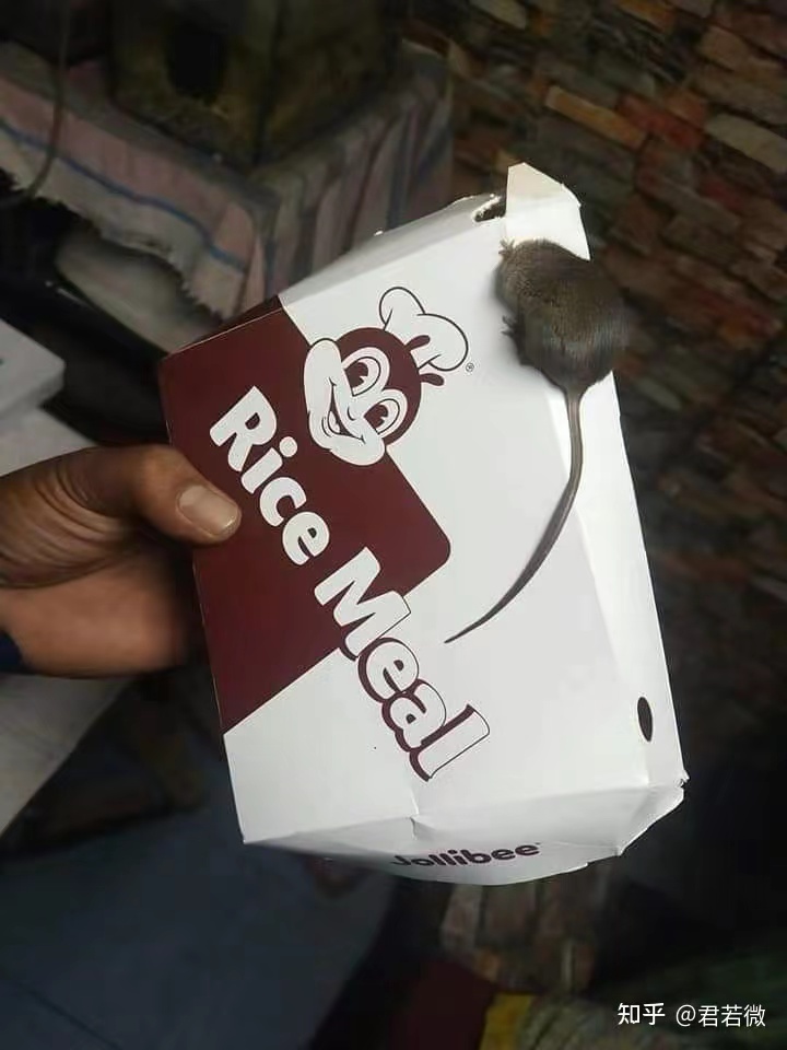 每天睡得很累是因为什么,生活太累有点撑不住了早点睡觉