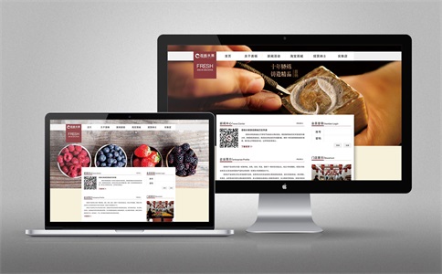 上海网站建设方案应该怎么做,上海网站建设哪个平台好