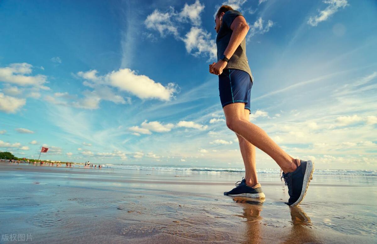 本科院校体育教育学专业排名,大学体育教育专业排行榜