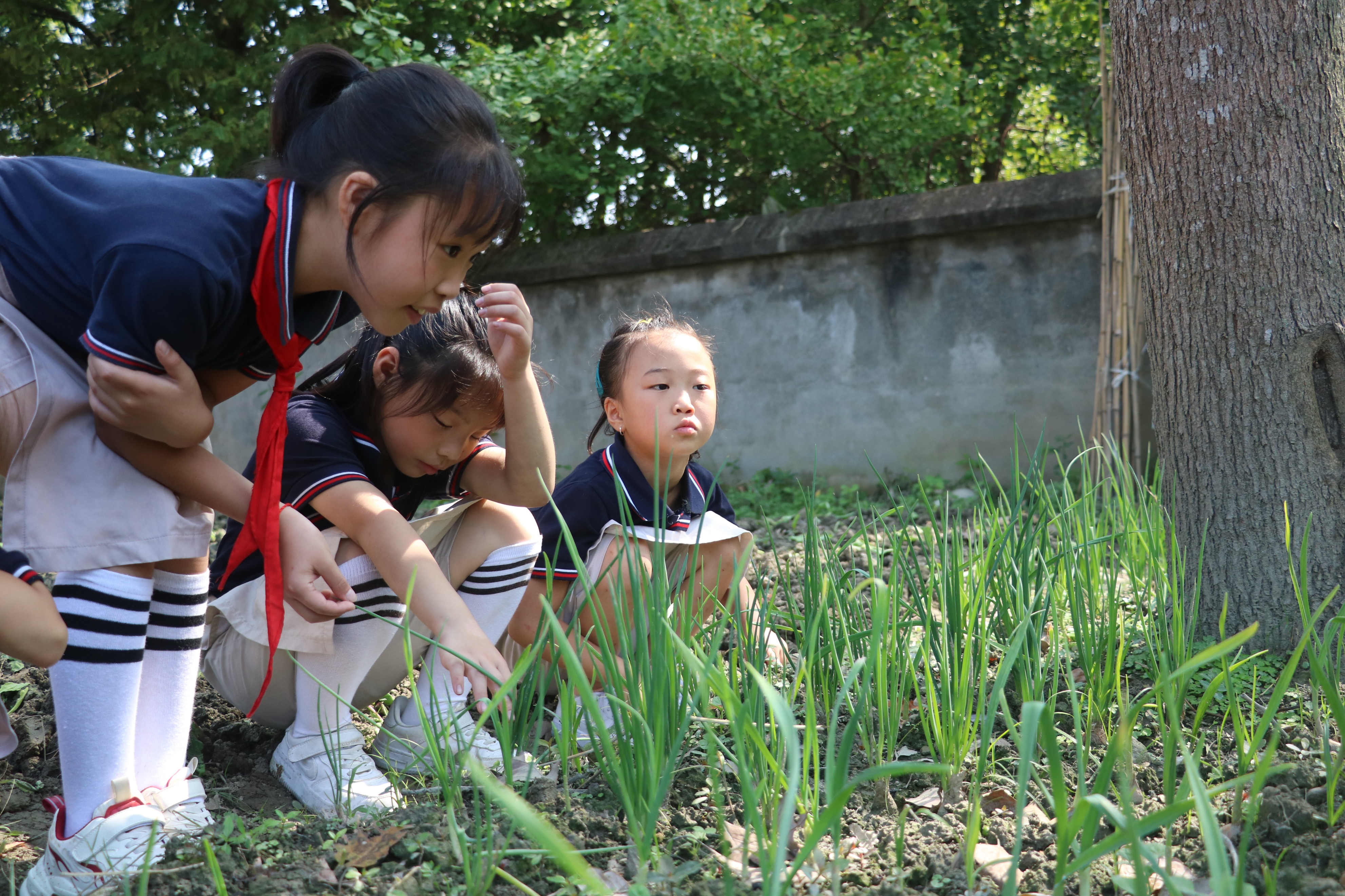 成都市草堂小学贡嘎杯颁奖典礼,贡嘎杯排球小学组