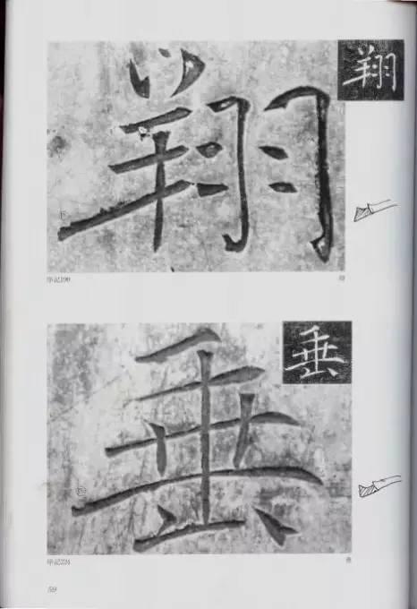 宸ョ瑪鐢绘潹鏅箟鐢诲唽,鏉滈箖鏉ㄦ櫘涔夊畬鏁寸増