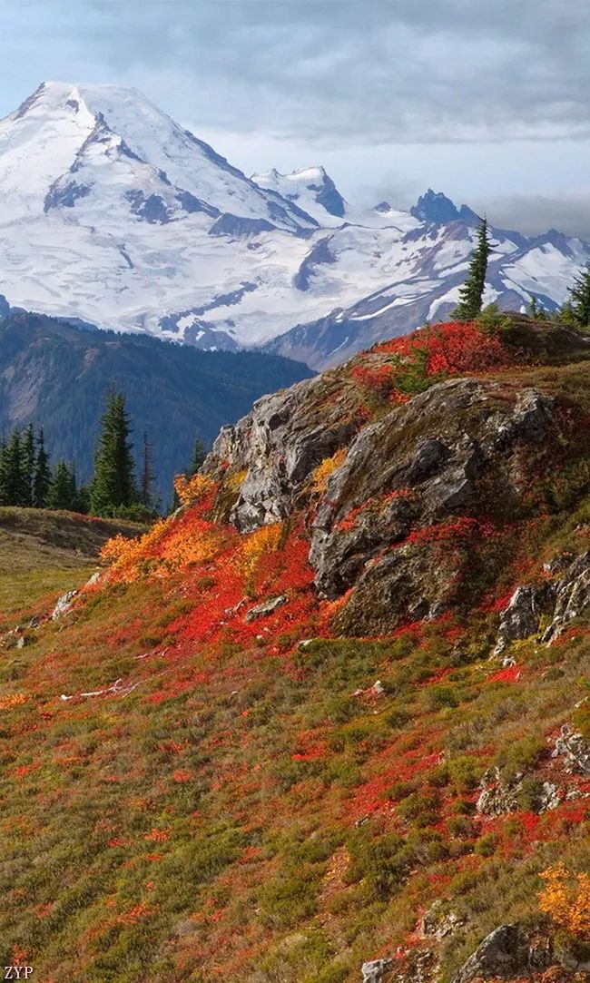 太美了100张人间美照,太美了最美中国红