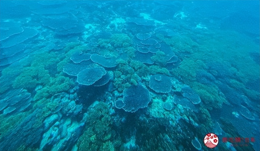 长崎两天一夜旅行攻略图文,长崎五岛旅游攻略一日游
