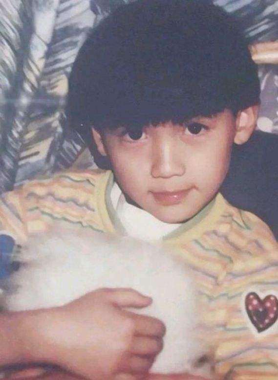 谭咏麟家庭背景大揭秘,谭咏麟为什么能娶2个老婆