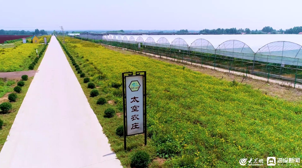 潍坊创建“东亚文化之都”丨走进省级景区村庄——“西许戈村”