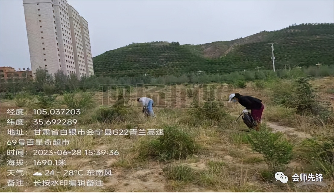 【学习“千万工程”经验】会师镇：扎实开展环境卫生整治提升工作