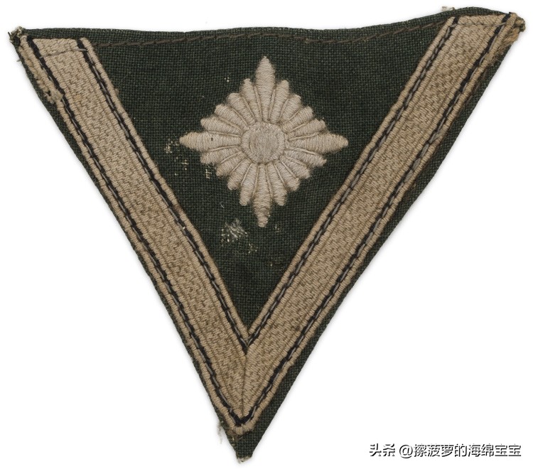 二战德国将军军衔图案,二战德国突击队队长军衔