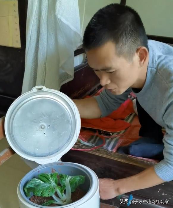 迷茫哥：抽屉里种菜，镜子贴膏药，各种神奇操作笑翻网友