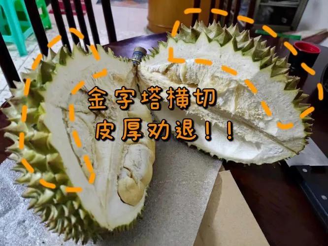 榴莲怎么挑牢记这几点,榴莲知识新手必看