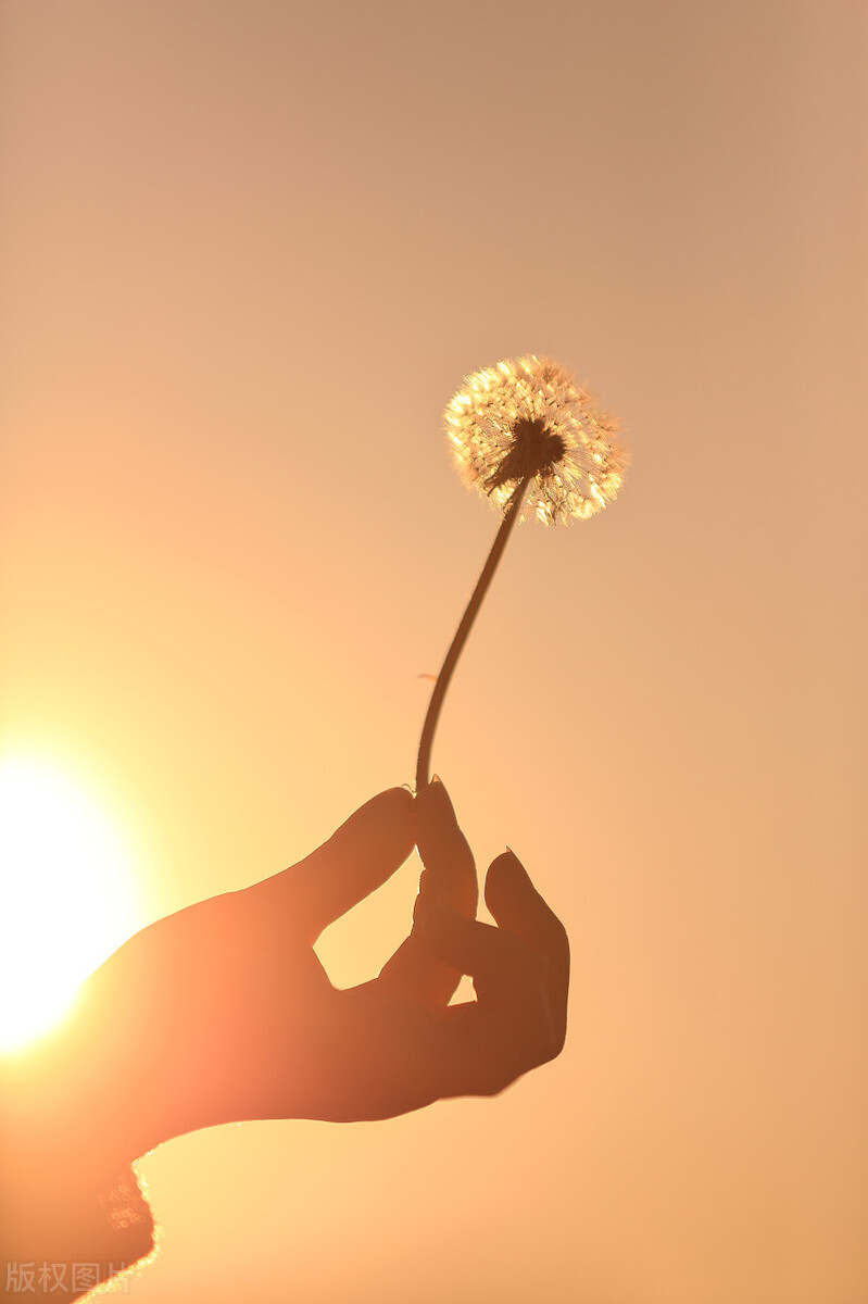 家人得了大病怎么调节心态,父母突发大病后如何进行心理调节