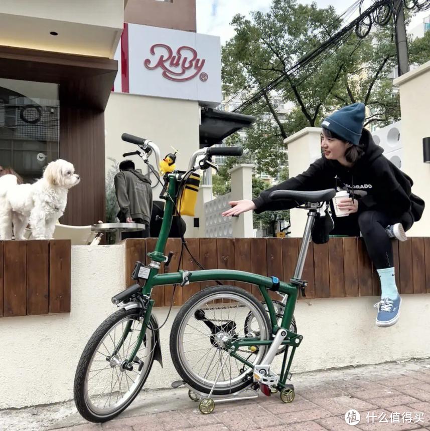 通勤折叠自行车,入门级折叠自行车