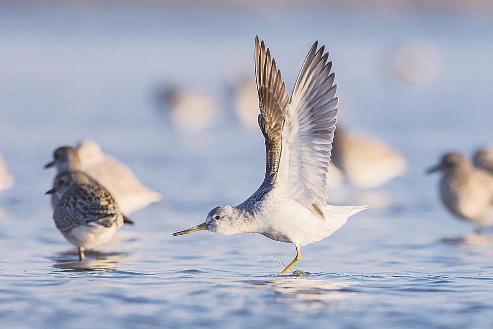 娌挎捣缁垮煄鐩愬煄,鐩愬煄娌挎捣缁垮煄