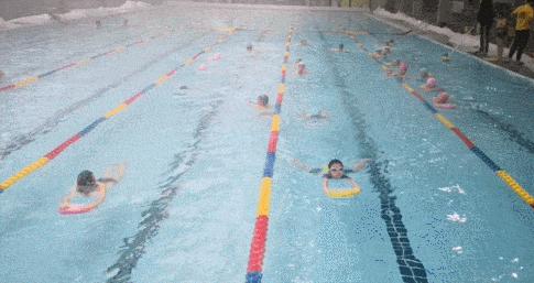 铁打的新津为明，裸分的清华北大，温情的教育情怀