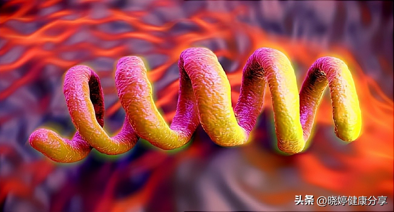 婴儿梅毒螺旋体抗体阳性多久转阴,梅毒螺旋体抗体0.3