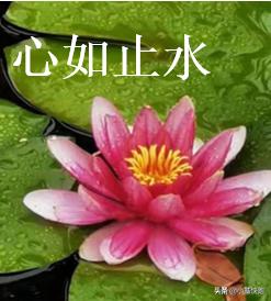 定投：机会只留给准备好钱的人