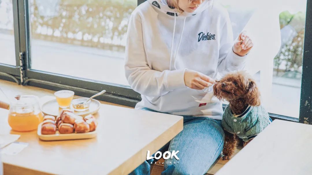 北京宠物友好咖啡店,北京宠物友好店