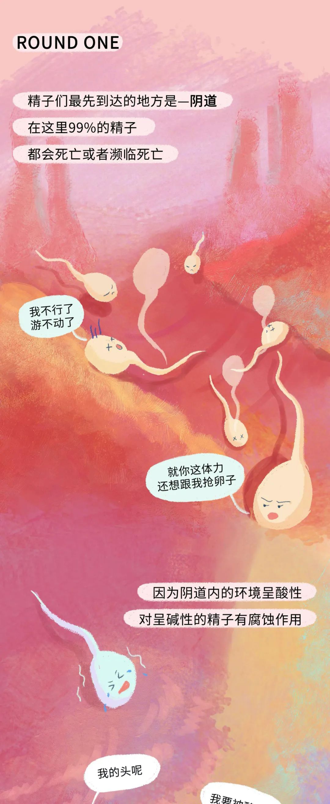漫画：精子进入女生体内的全过程曝光！别害羞，早知早受益