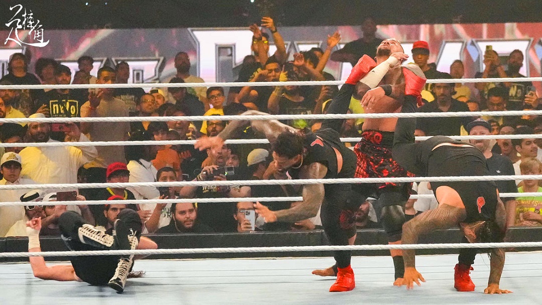 wwe赛斯两次击败猛兽,wwe赛斯受伤后谁获得了冠军