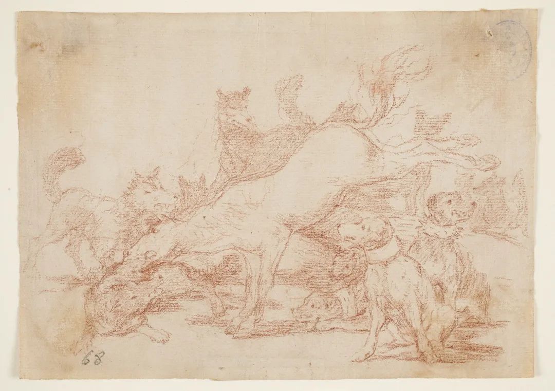 超写实主义动物素描作品欣赏,超简单精微素描凶猛的动物