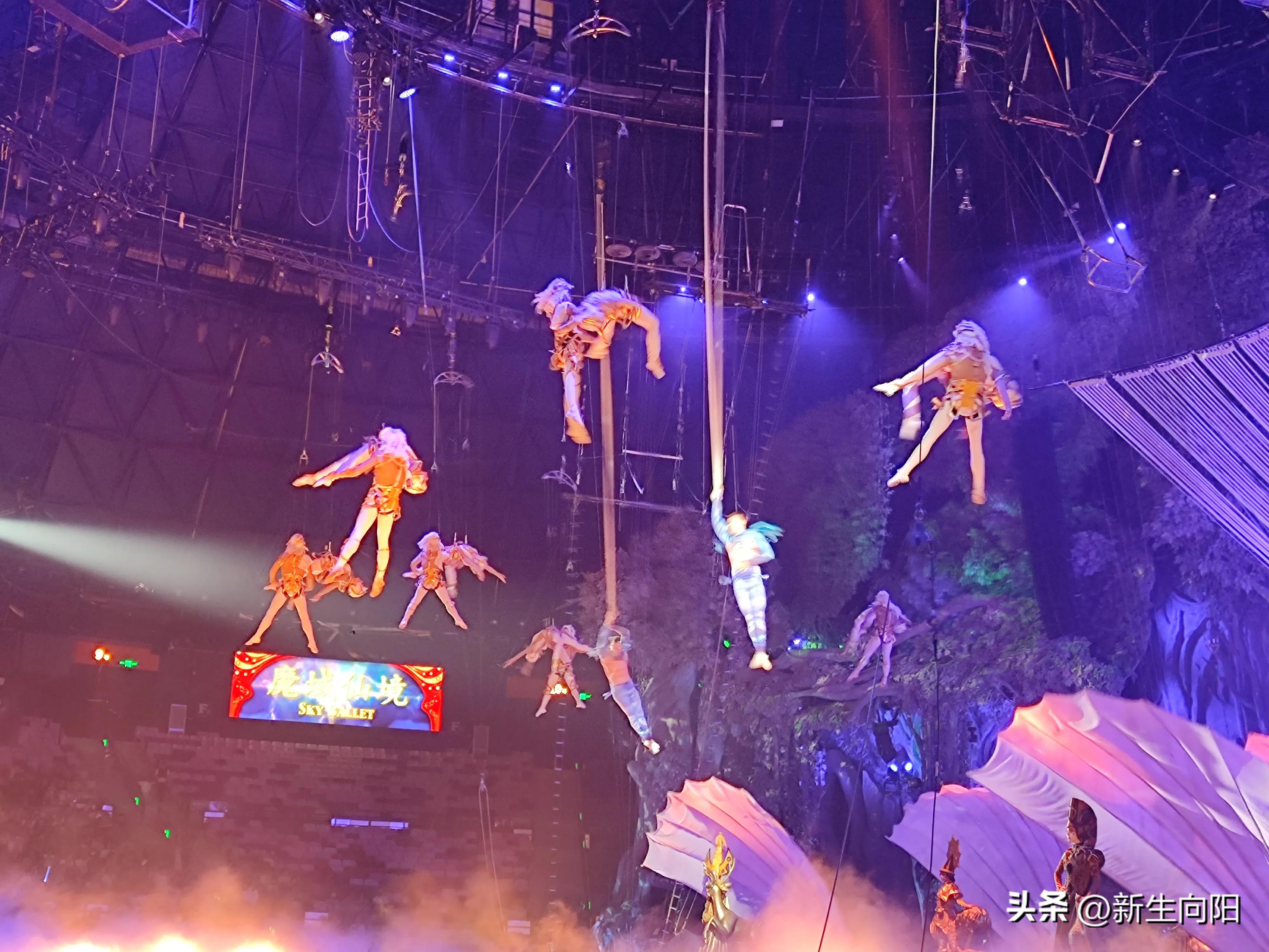 长隆野生动物园两大一小,长隆野生动物园一家三口