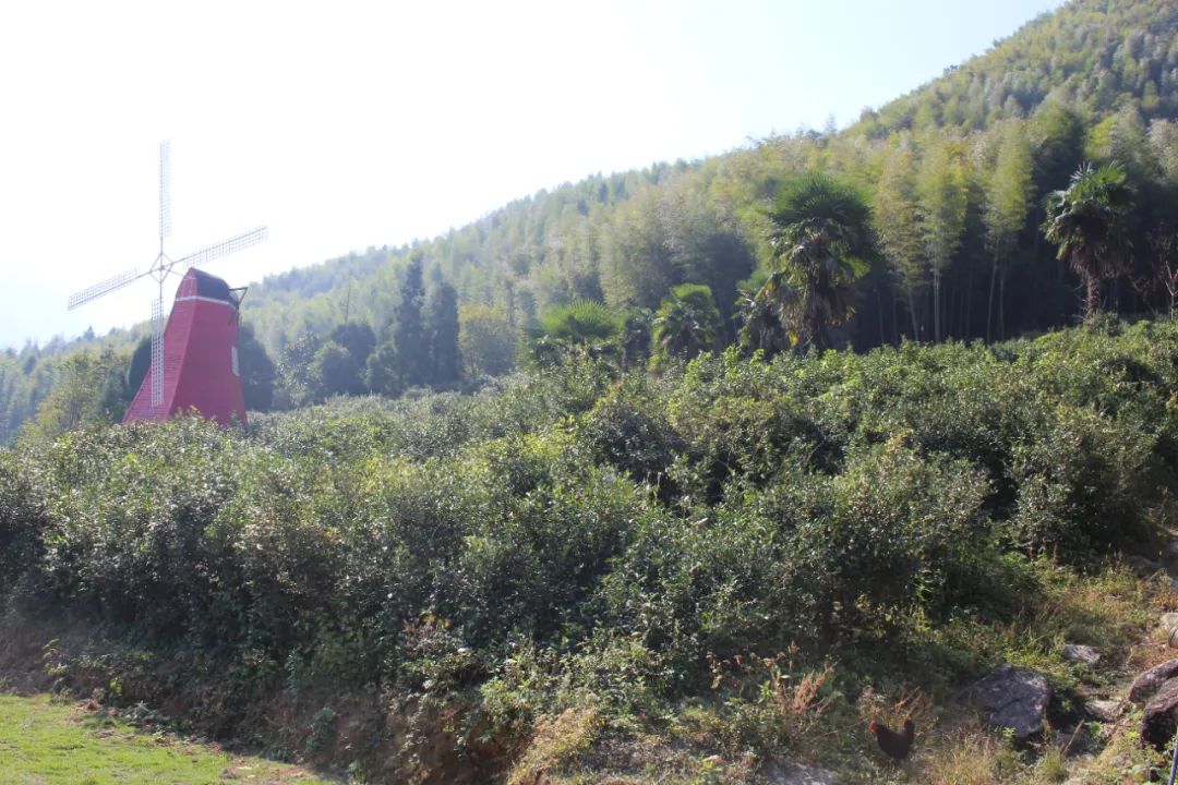 婺源美景之篁岭,婺源篁岭世外桃源