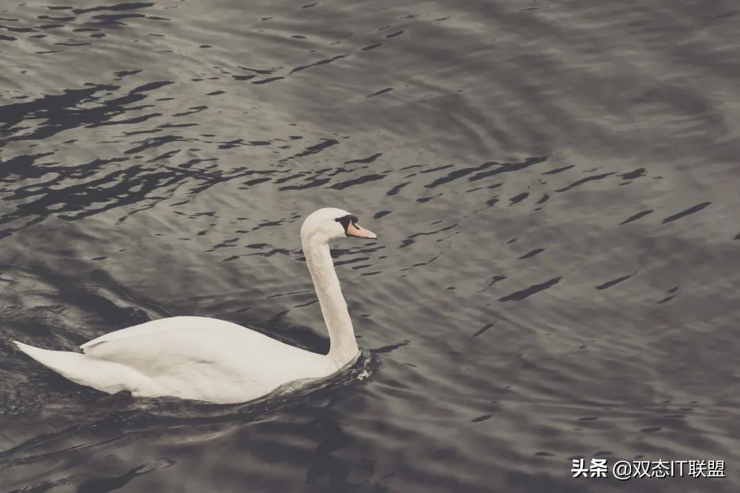 报告提前读:谁说国人不配拥有自己的测试标准?