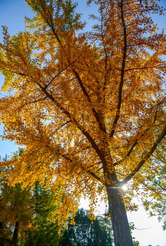 济南小众但是值得一去的地方,济南小众打卡圣地冬季