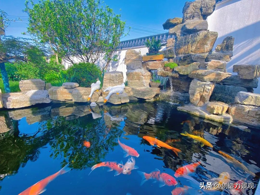 庭院鱼池怎么设计,庭院设计鱼池的最佳方法