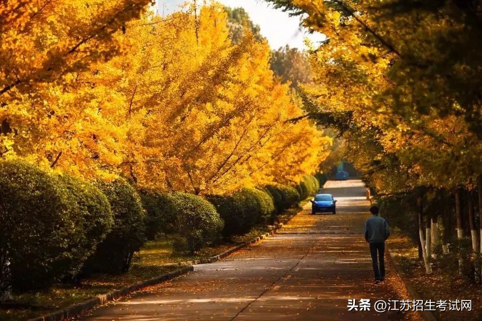 江苏建筑职业技术学院匠心筑梦,江苏建筑职业技术学院45周年
