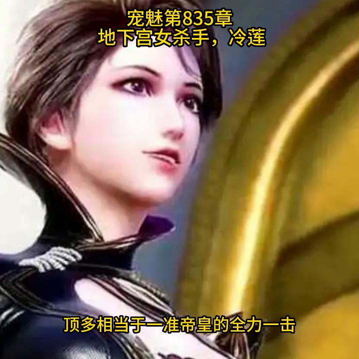 宠魅宠魅这本小说的介绍,小说宠魅