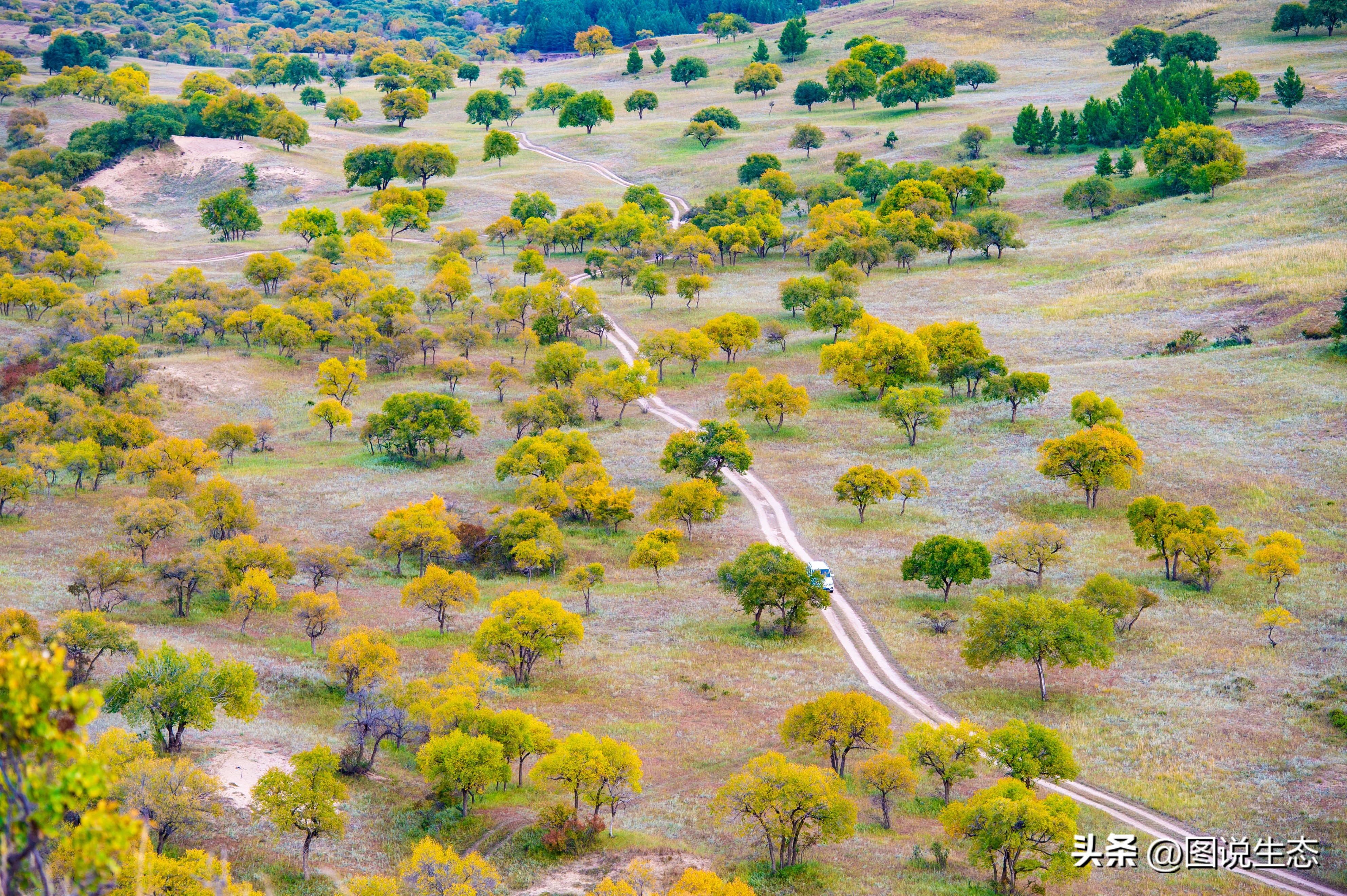 坝上草原游玩的好去处,锡林郭勒大草原和丰宁坝上