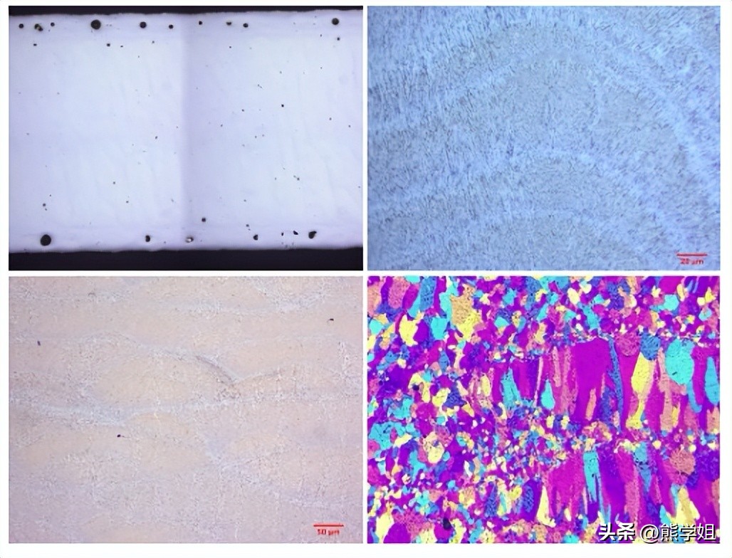 领拓检测应用案例：增材制造样品金相试样制备和分析