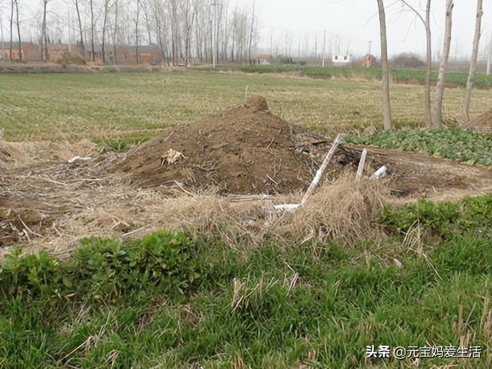 给去世多年的亲人立碑有什么讲究,为什么人去世不能立碑