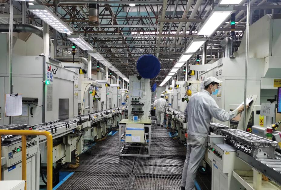 广东老板放弃皮革生意，靠“壮阳树”年入千万，一张树皮卖千元