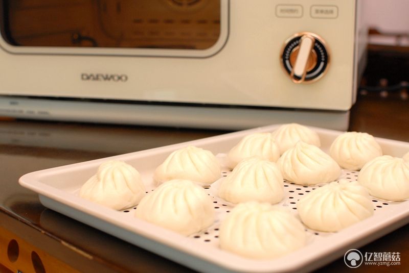 大宇蒸烤一体机k9空气炸锅怎么用,大宇k9蒸烤一体机菜单