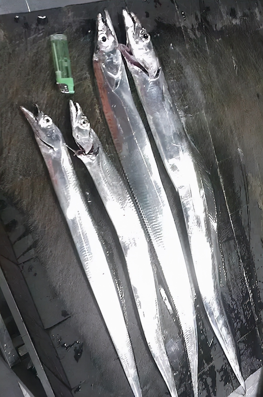 买海鲜怎么挑,买海鲜如何挑选生蚝