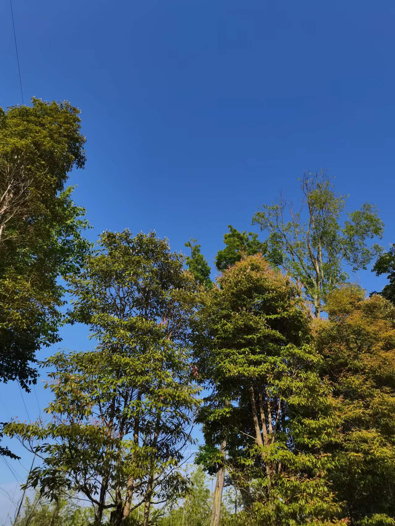 天府新区天府花香谷,成都天府新区花谷