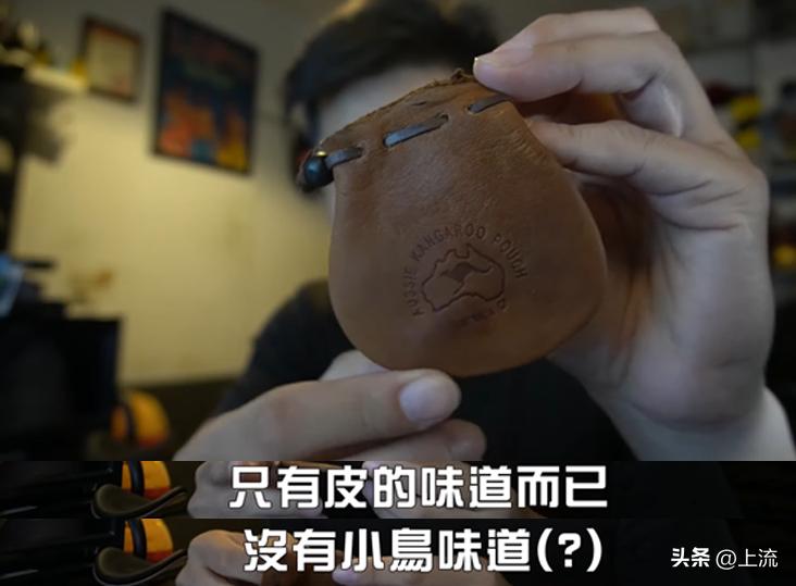 澳洲公袋鼠,澳洲的公袋鼠