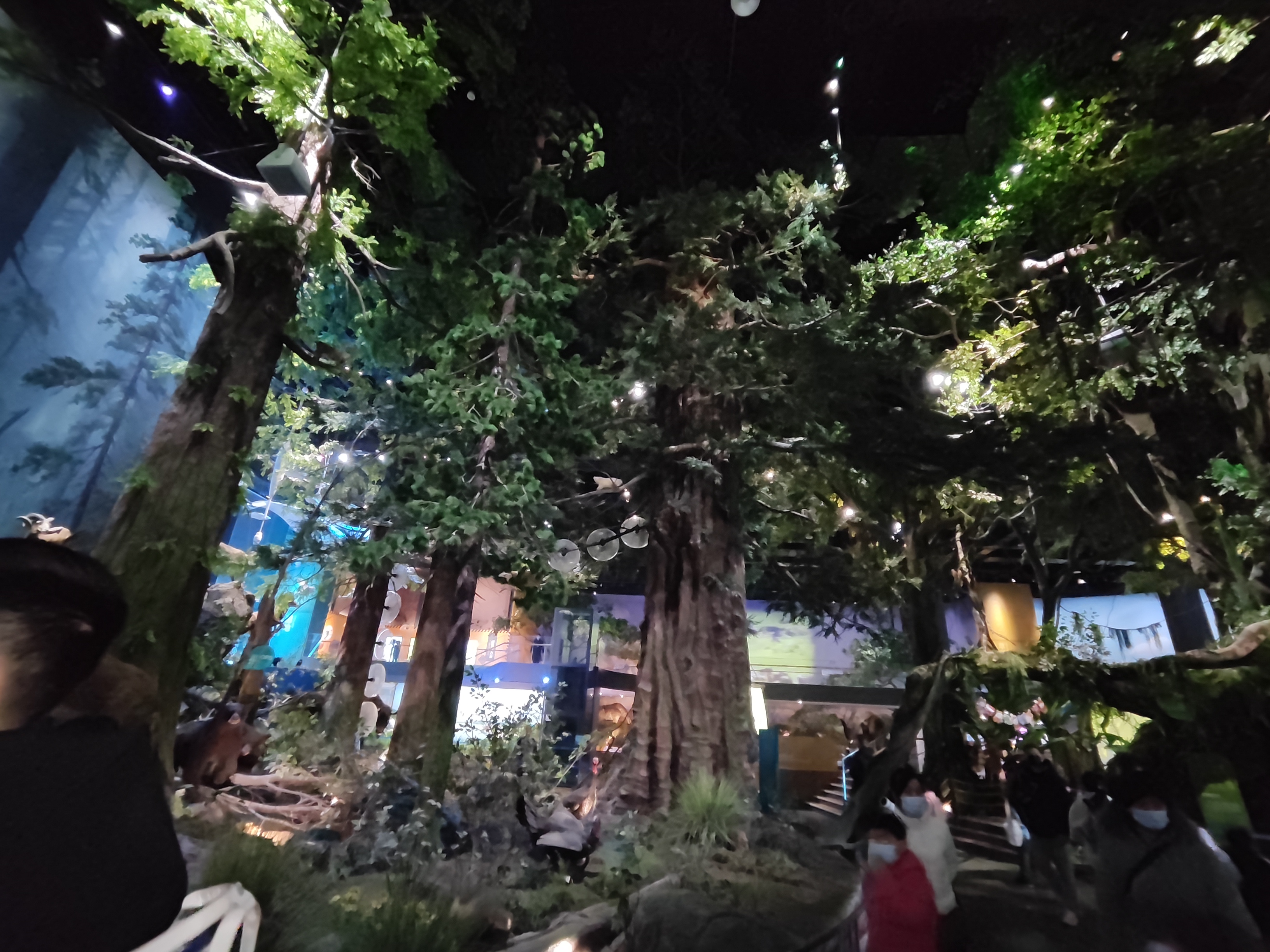 河南科技馆预约攻略详细,河南省科技馆攻略